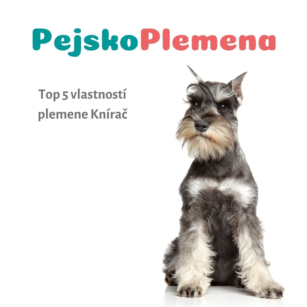 Knírač a jeho TOP 5 skvělých vlastností