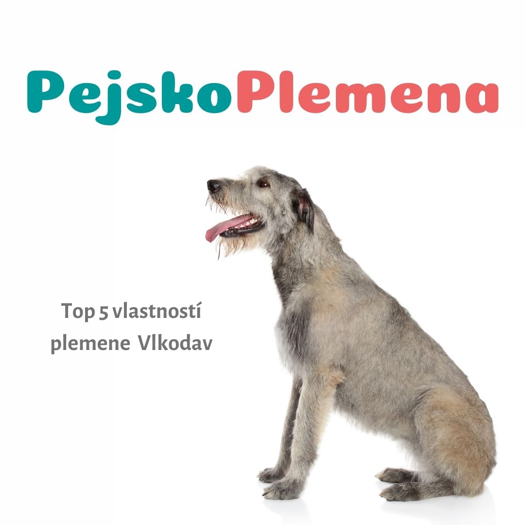 Vlkodav a jeho TOP 5 skvělých vlastností