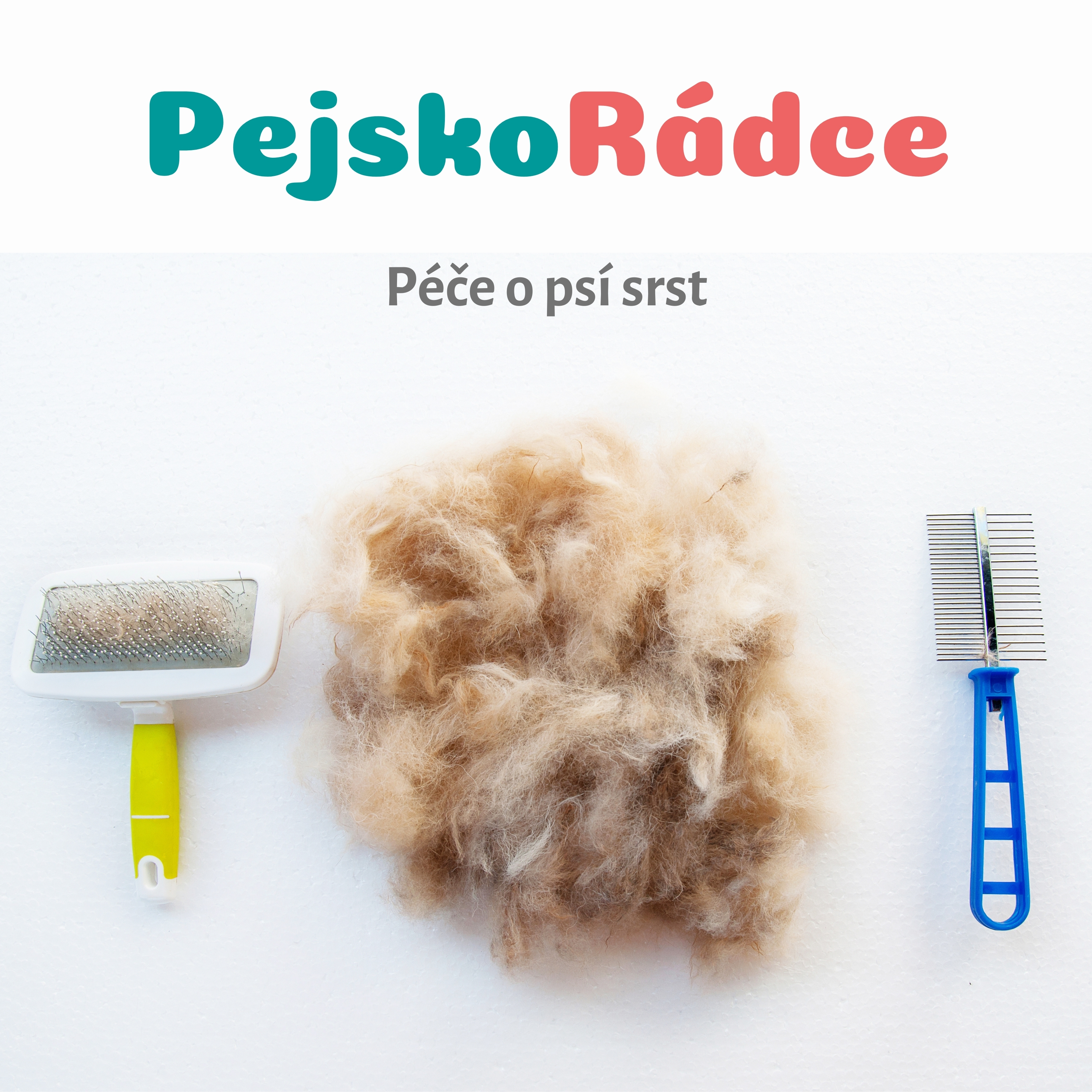 Péče o psí srst