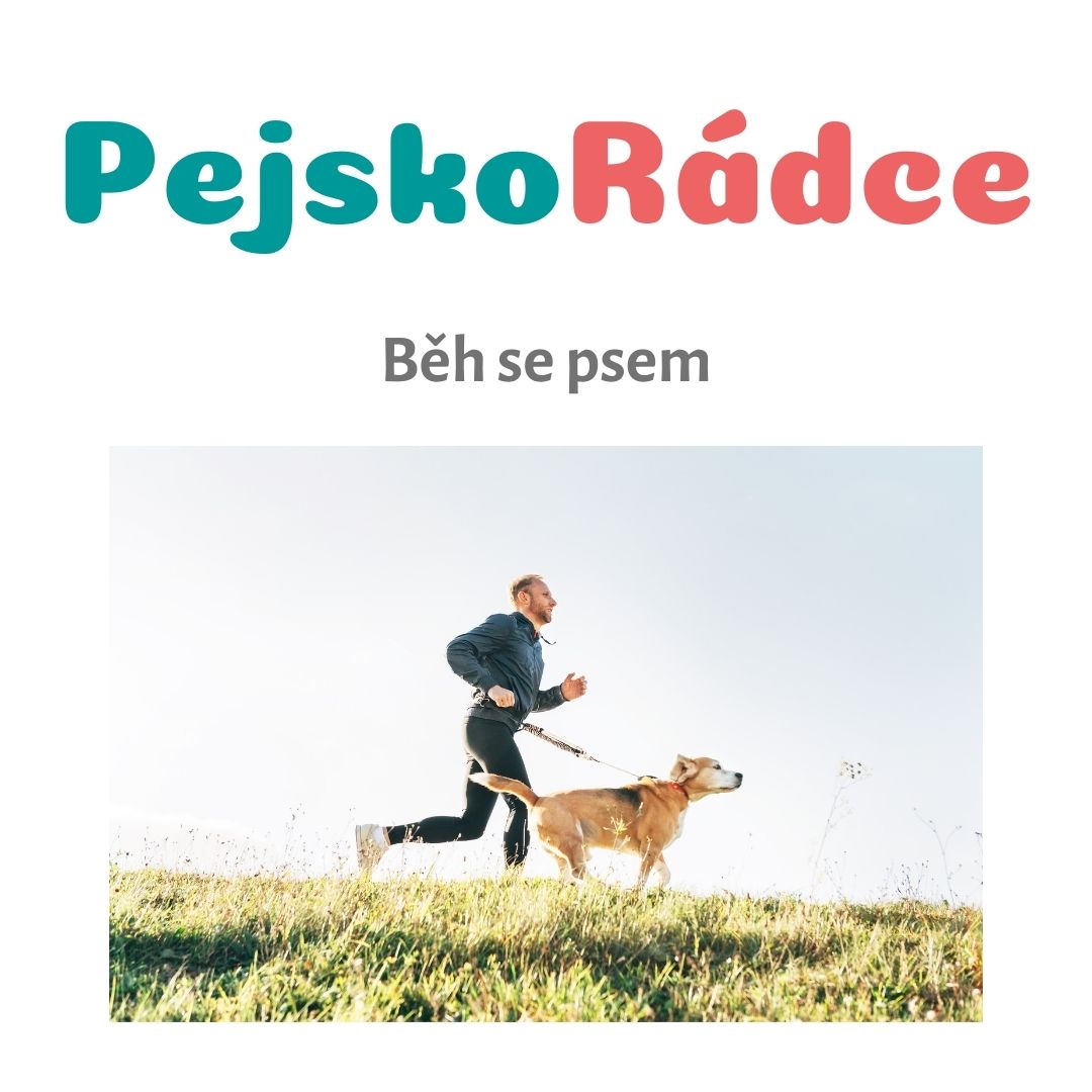 Běh se psem