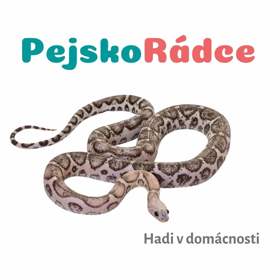 Hadi v domácnosti