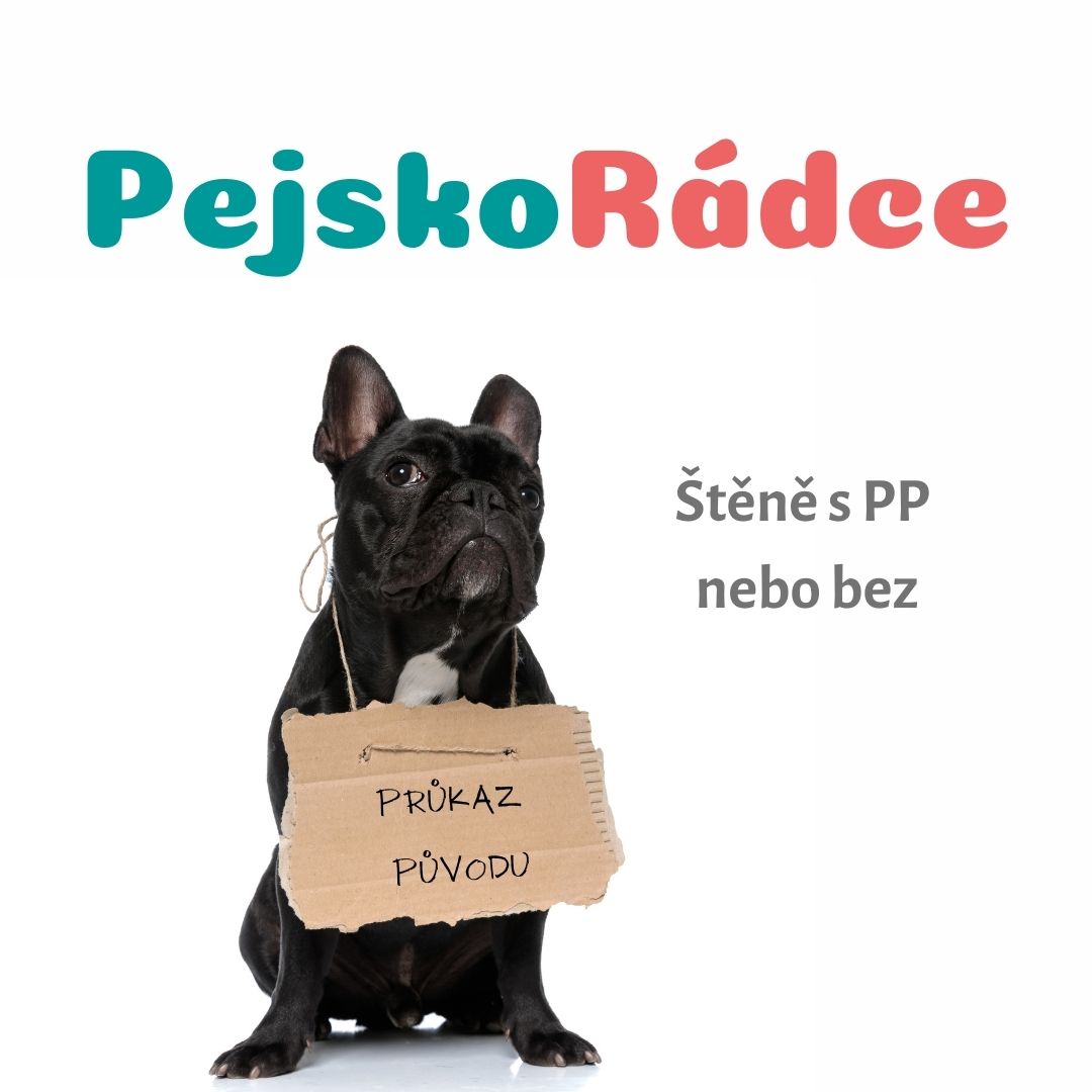Štěně s PP nebo bez