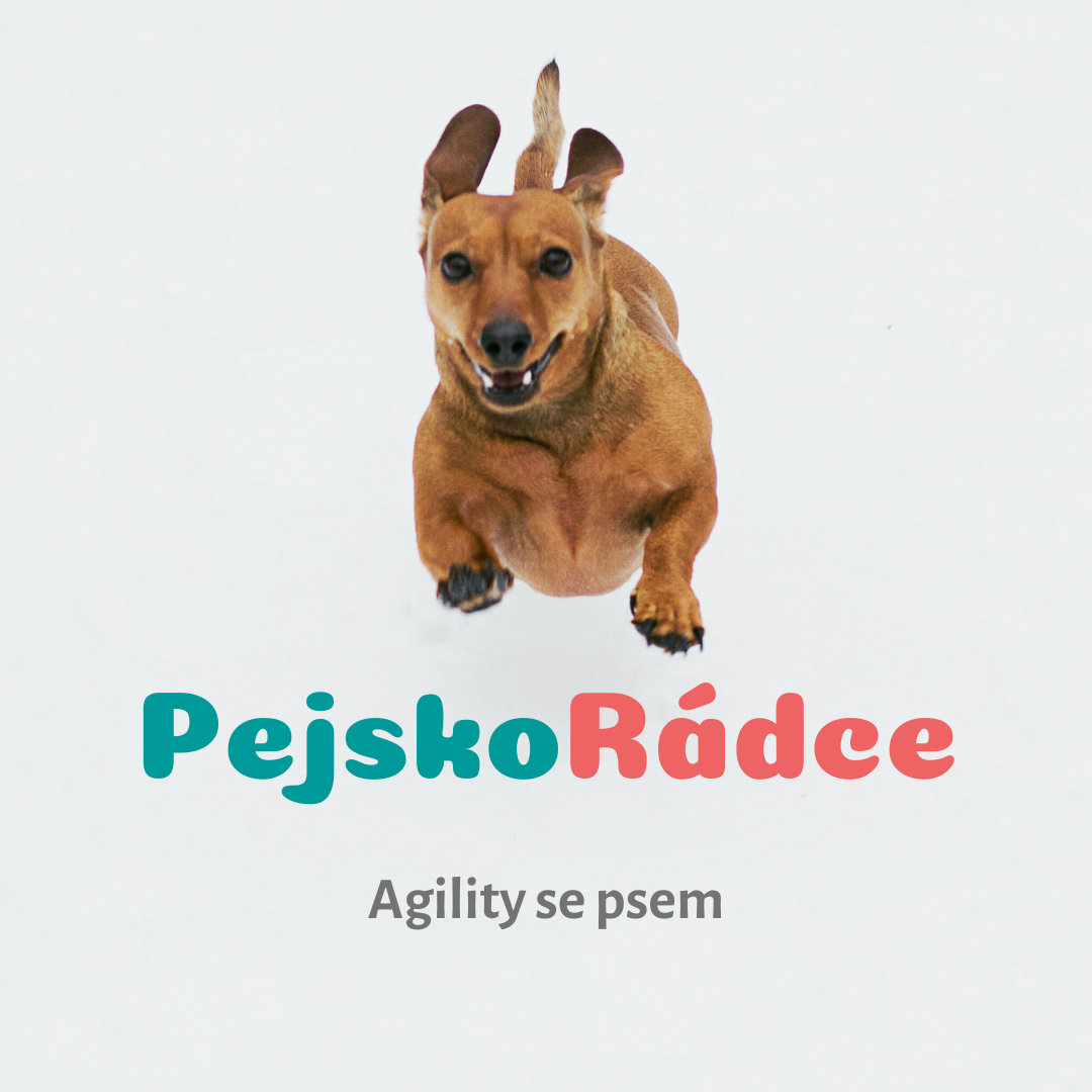 Agility se psem