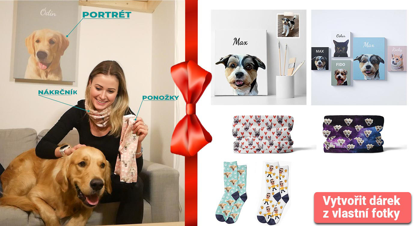 Portrét mazlíčka psa kočky koně