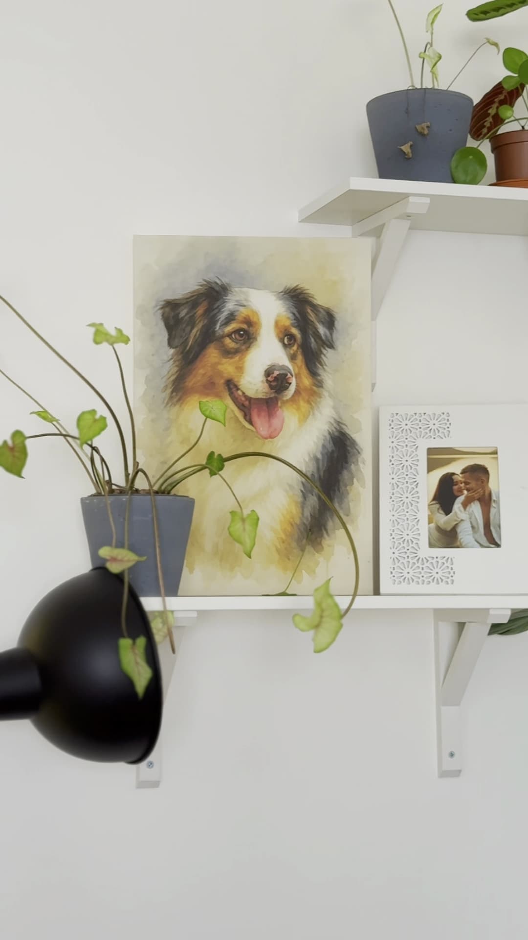 vlcsnap-2025-11-10-16h31m58s788