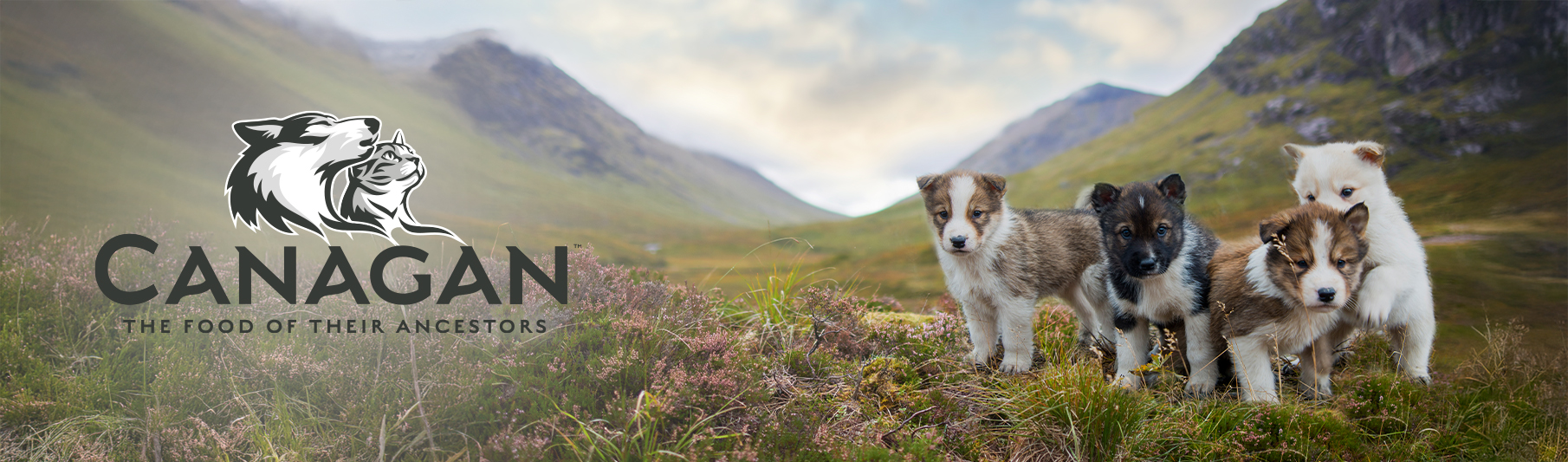 Krmiva Canagan!
