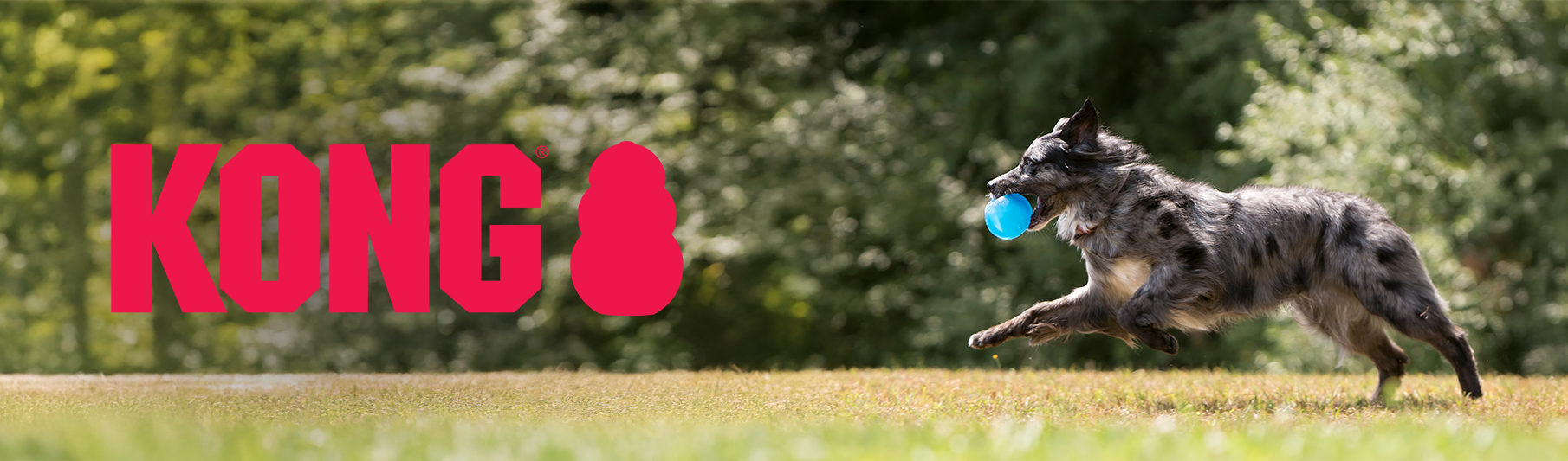 Odolné hračky KONG