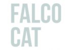 FALCO CAT