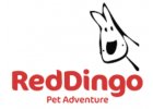 Red Dingo