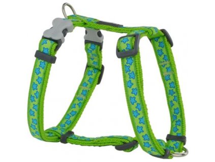 Red Dingo postroj – Stars Turquoise – 12 mm x 30-44 cm