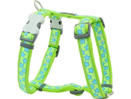 Red Dingo postroj – Stars Turquoise – 25 mm x 56-80 cm