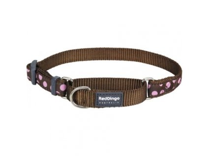 6e6dd1d8f9c24a6c7bad125992ffddfd