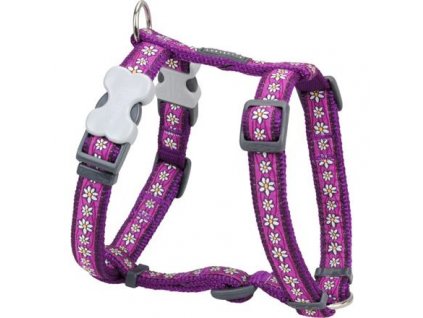 Red Dingo postroj – Daisy Chain Purple – 20 mm x 45-66 cm