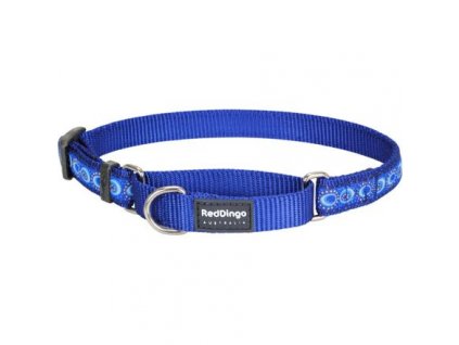 Red Dingo obojek polostahovací – Cosmos Blue – 20 mm x 30-44 cm