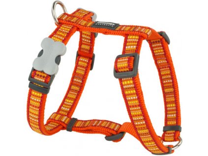 Red Dingo postroj – Lotzadotz Orange – 20 mm x 45-66 cm