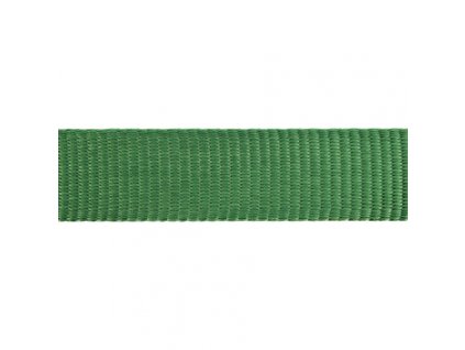 Red Dingo vodítko přepínací – Green – 12 mm x 2 m