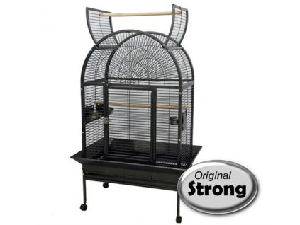 d800121a037cf39d958e495d1cb92845