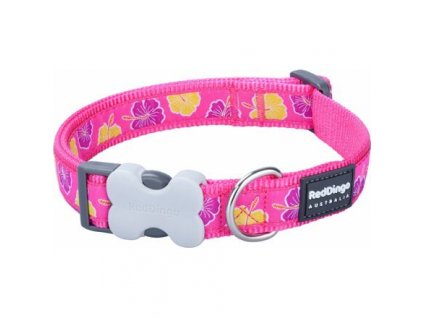 61b49674f807bd4284c23990b98ce593