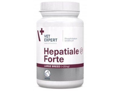 9bc413d7cc21c437f73a4624c955a5fa