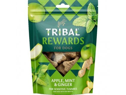 TRIBAL Rewards Snack Apple, Mint & Ginger 125 g