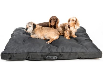 968c4b21575ba49058d93a39d9d67b67