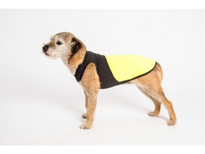 375bd02351807fd459eb7d3bead6c093