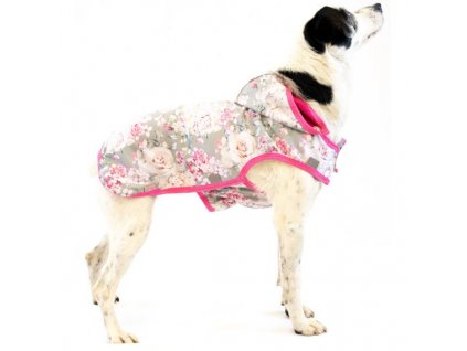 586be64a9d34ec8f3e7f92dd4a26b1f9