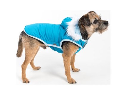 20fd85dc03e03ad93f3a588cd19d4aba