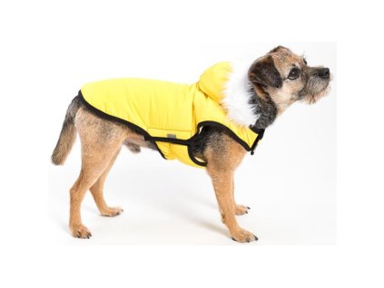 c861674bf3bc57838e47adadd9d897cb