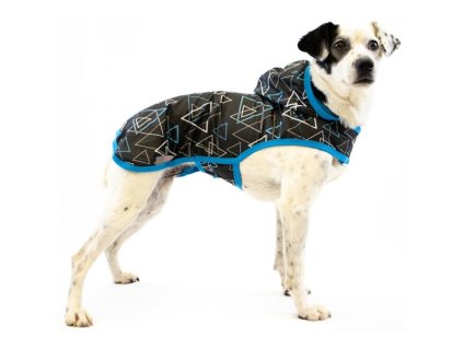 30e939d0076d17347988f0d7e147b193