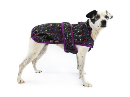 6c70d546e9b6f90d84d4129517bed56f