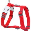 Red Dingo postroj – Red – 12 mm x 30-44 cm