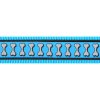 Red Dingo postroj reflexní – Bones Turquoise – 20 mm x 45-66 cm