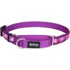 Red Dingo obojek polostahovací – Breezy Love Purple – 20 mm x 30-44 cm