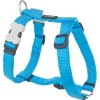 Red Dingo postroj – Turquoise – 25 mm x 56-80 cm