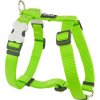 Red Dingo postroj – Lime – 15 mm x 36-54 cm