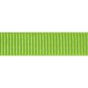 Red Dingo postroj – Lime – 15 mm x 36-54 cm