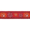 Red Dingo postroj – Paw Impressions Red – 20 mm x 45-66 cm