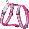 Red Dingo postroj – Horizontal Stripes Hot Pink – 12 mm x 30-44 cm