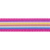 Red Dingo vodítko – Horizontal Stripes Hot Pink – 12 mm x 1,8 m