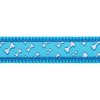 Red Dingo vodítko – Flying Bones Turquoise – 25 mm x 1,8 m