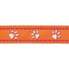 Red Dingo obojek – Desert Paws Orange – 15 mm x 24-36 cm