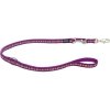 Red Dingo vodítko přepínací – Daisy Chain Purple – 25 mm x 2 m
