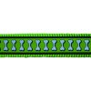 Red Dingo vodítko přepínací reflexní – Bones Lime – 15 mm x 2 m