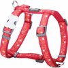 Red Dingo postroj – Swiss Cross – 20 mm x 45-66 cm