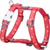 Postroj Red Dingo 25 mm x 56-80 cm - Swiss Cross