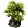 Dekorace do akvária- bonsai borovice 9,5cm Aqua Della