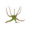 Akvarijní dekorace KIPOUSS pavoučí kořen M Zolux