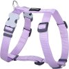 Red Dingo postroj – Purple Pastel – 15 mm x 36-54 cm