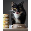 Marp Holistic Plus konzerva pro kočky – Kuřecí paté s krevetami 70g